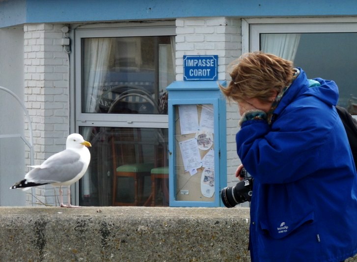 P1010344 - Copia.JPG