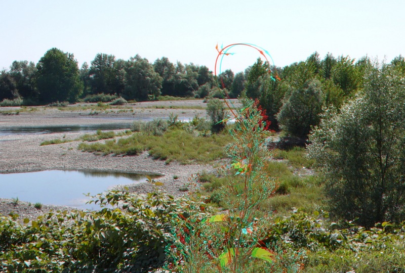 P1010726.jpg