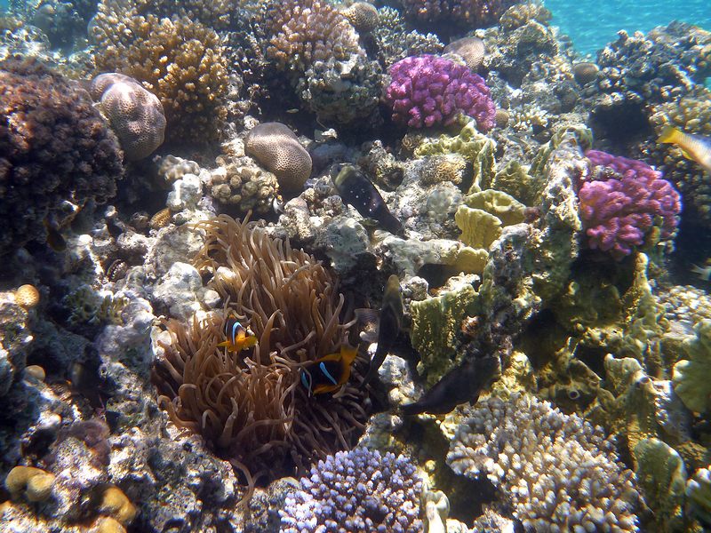 P1010856.JPG