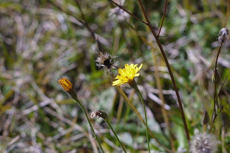 P1010981.JPG