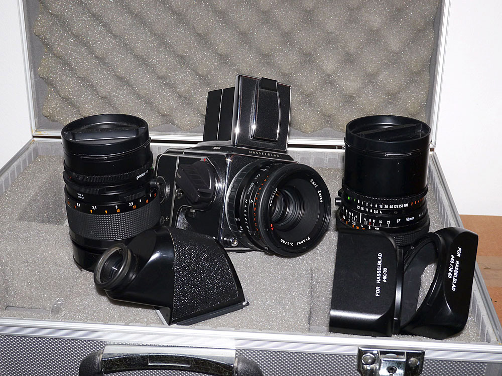 P1030187y.jpg