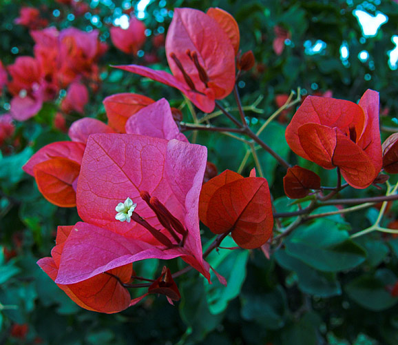 P1030457-04.jpg