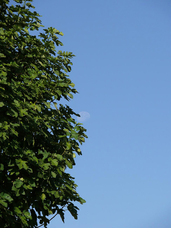 P1060120.jpg