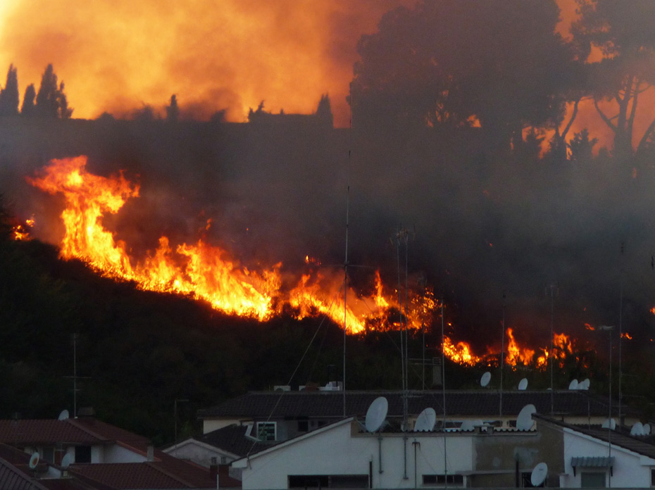 P1090845 ridotta.jpg