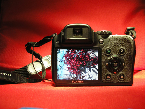 P2160017R.jpg