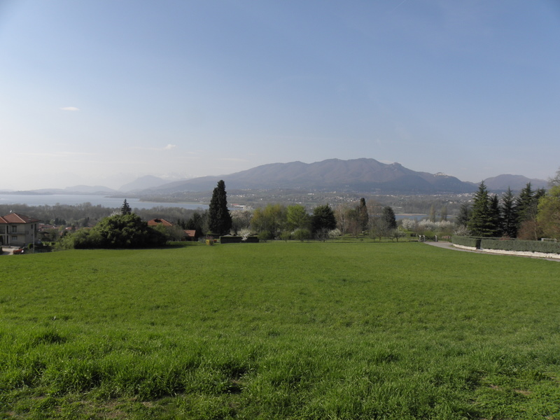 P4100005-1.JPG