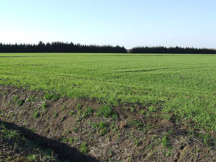 p4u - panorama2 - 38mm f5.jpg