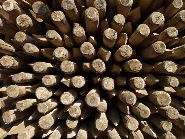 P6060134 (Small).JPG