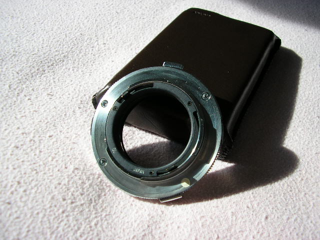 P6130069.JPG