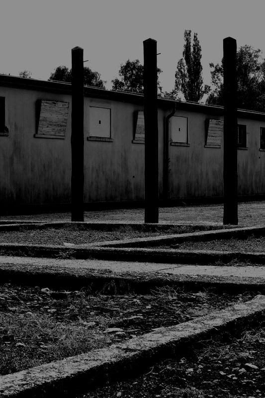 pali di fucilazione.jpg