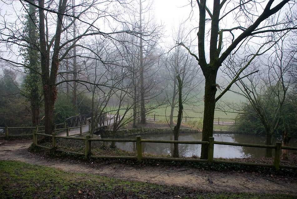parco-Bucci_7.jpg