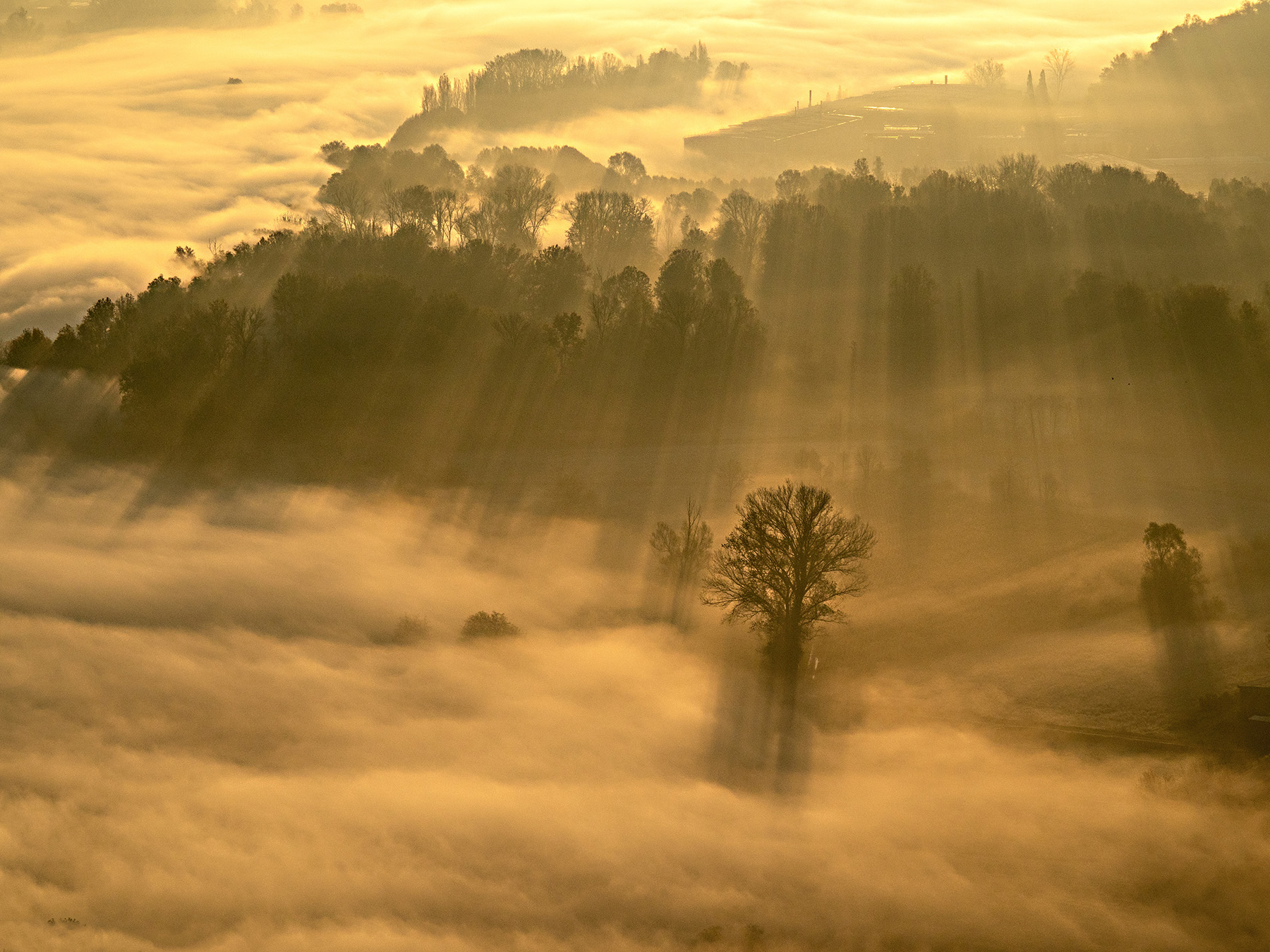 PB151244 - Copia (2).jpg