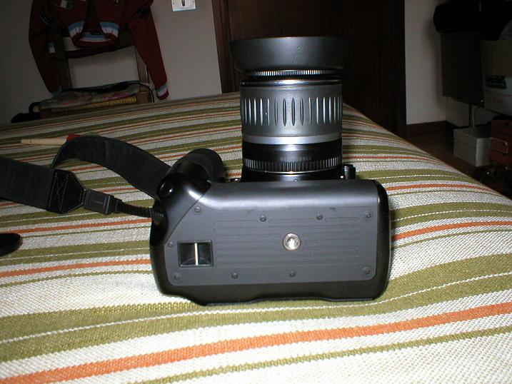 PB260028 2.JPG