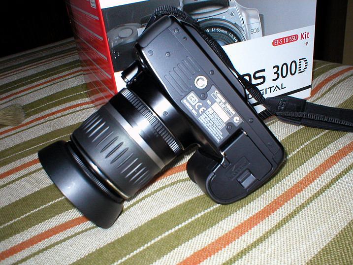PB260029 2.JPG