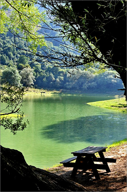pepsorb_lago.jpg
