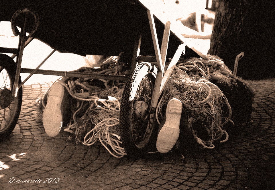 Pescato... dimenticatobn.jpg