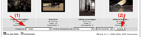 photo4u.gif
