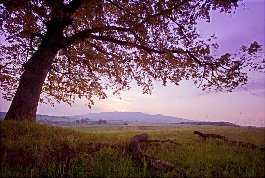 photomatix.jpg