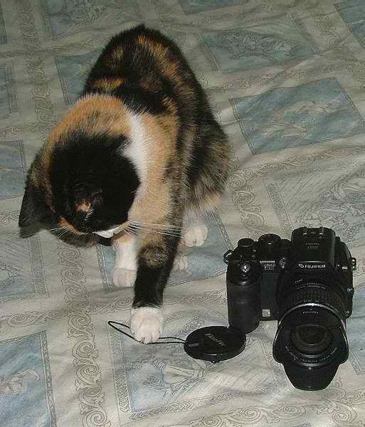 Piace anche a Luna.JPG