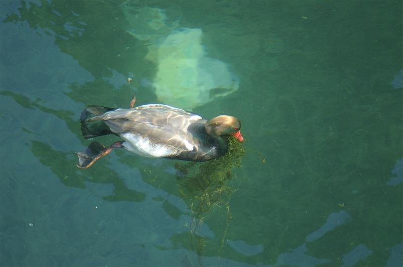 PICT0025 (Medium).jpg