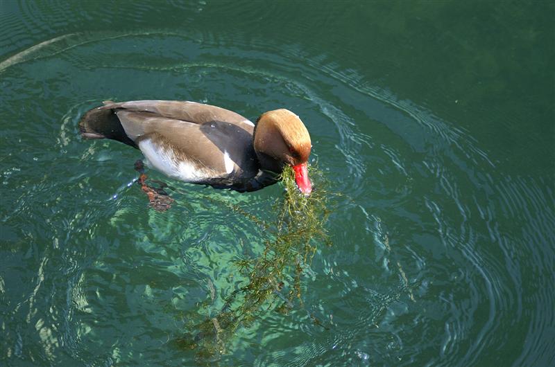 PICT0026 (Medium).jpg