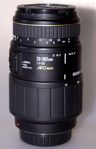 PICT1934 Visualizzazione Web - Media.jpg