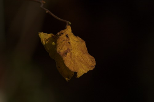 PICT4935-01.jpg