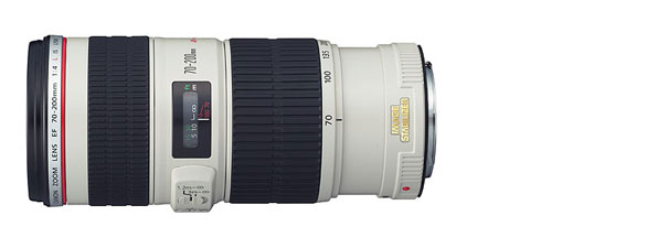 pimage_88715.jpg