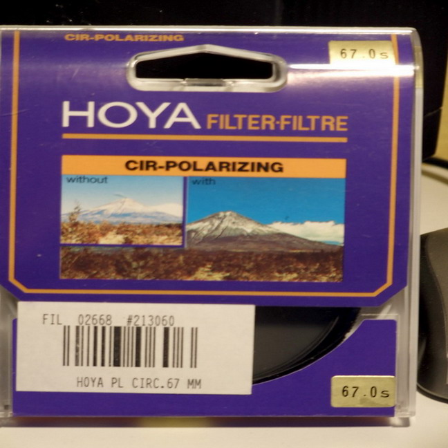 pola.jpg