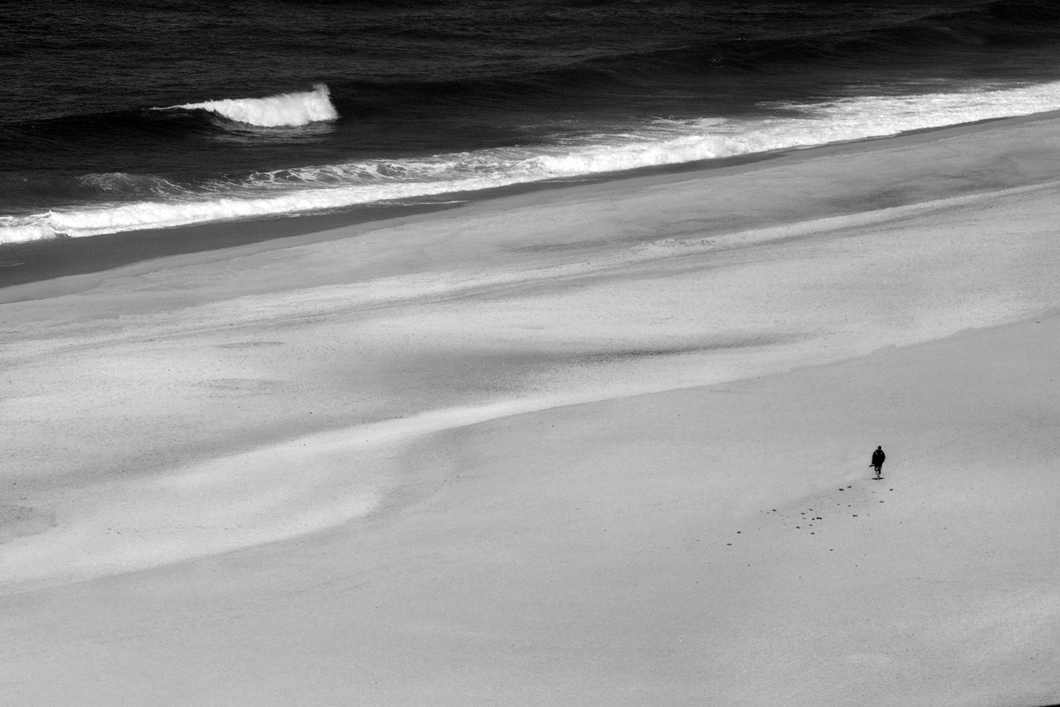 Portogallo Dorian Gray BN.jpeg