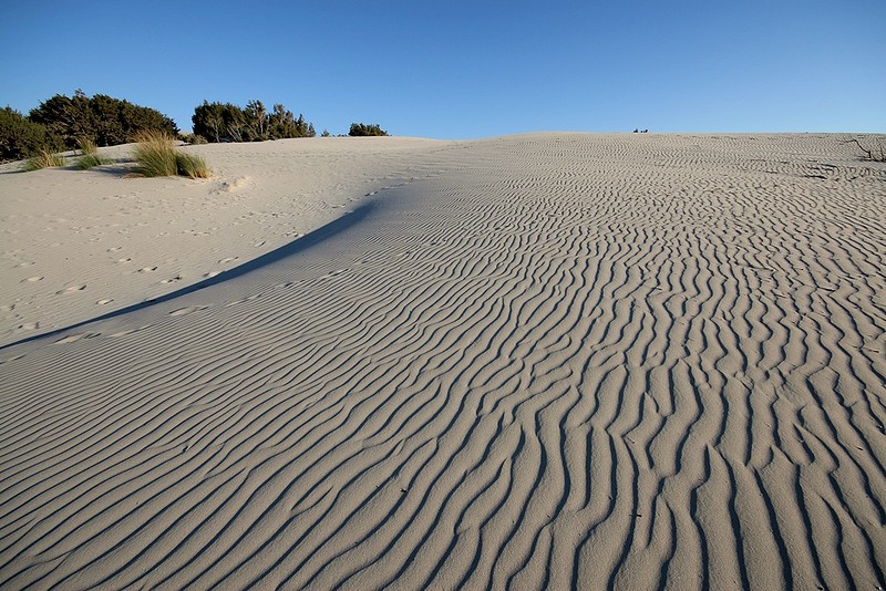 portopino.jpg