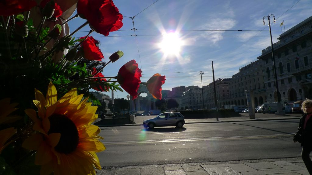 Profondit� di campo.JPG