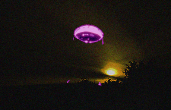 qui...quo...qua... ECCOCI QUA....jpg