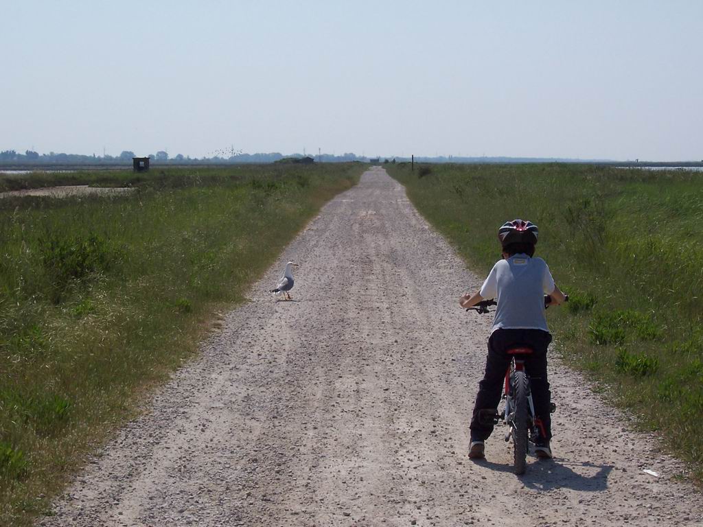 ravenna_po_07 031.jpg