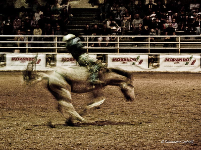 rodeo_08.jpg