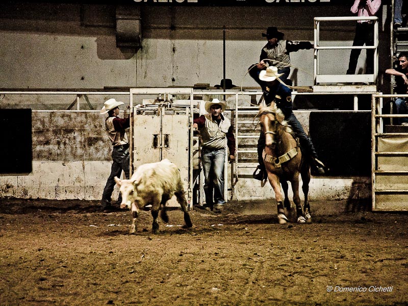 rodeo_10.jpg