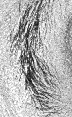 rodinal-1+50.jpg