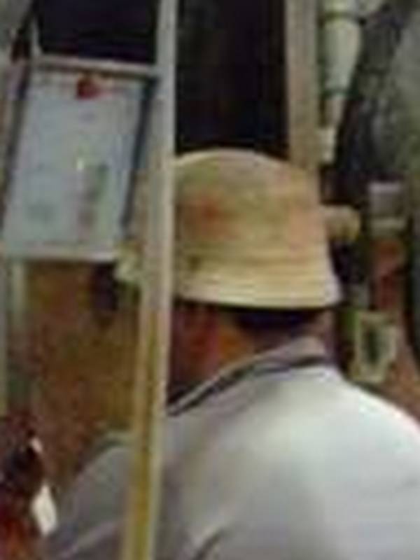 sala mungitura crop2.jpg