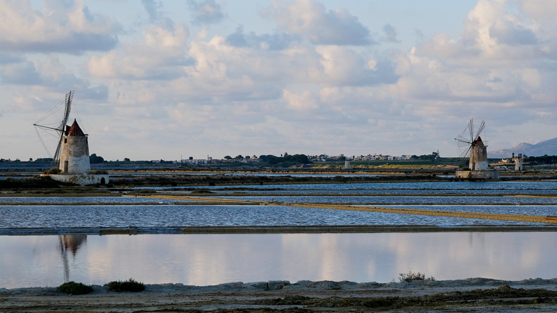 Salina di Sicilia_(800)_DSCF3185_2022.JPG