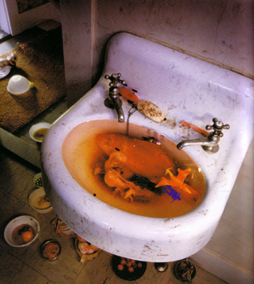 Scan1910080018 simen johan.JPG