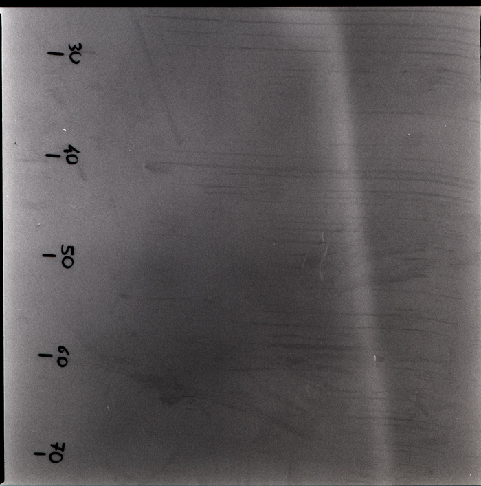 scan273.jpg