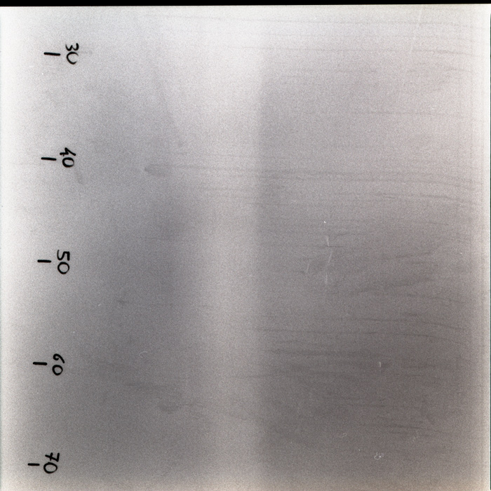 scan275.jpg