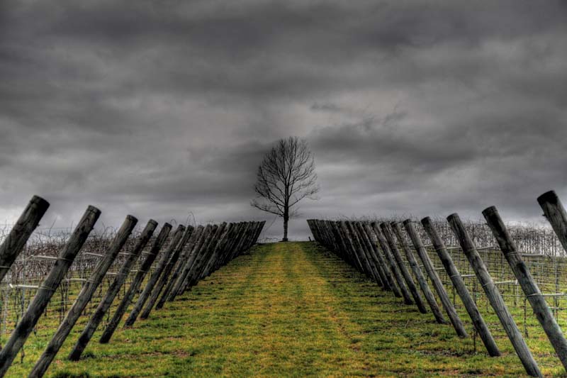 SCATTO ORIGIN-HD-800.jpg