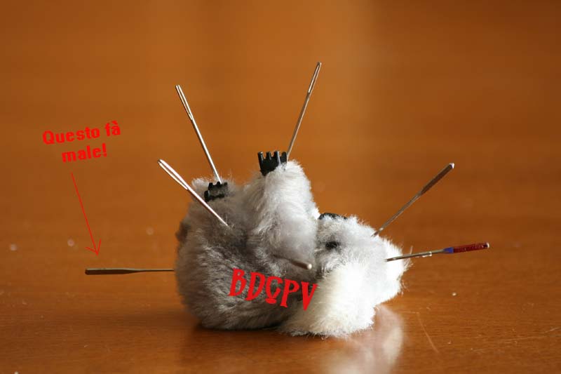 scherzo.jpg