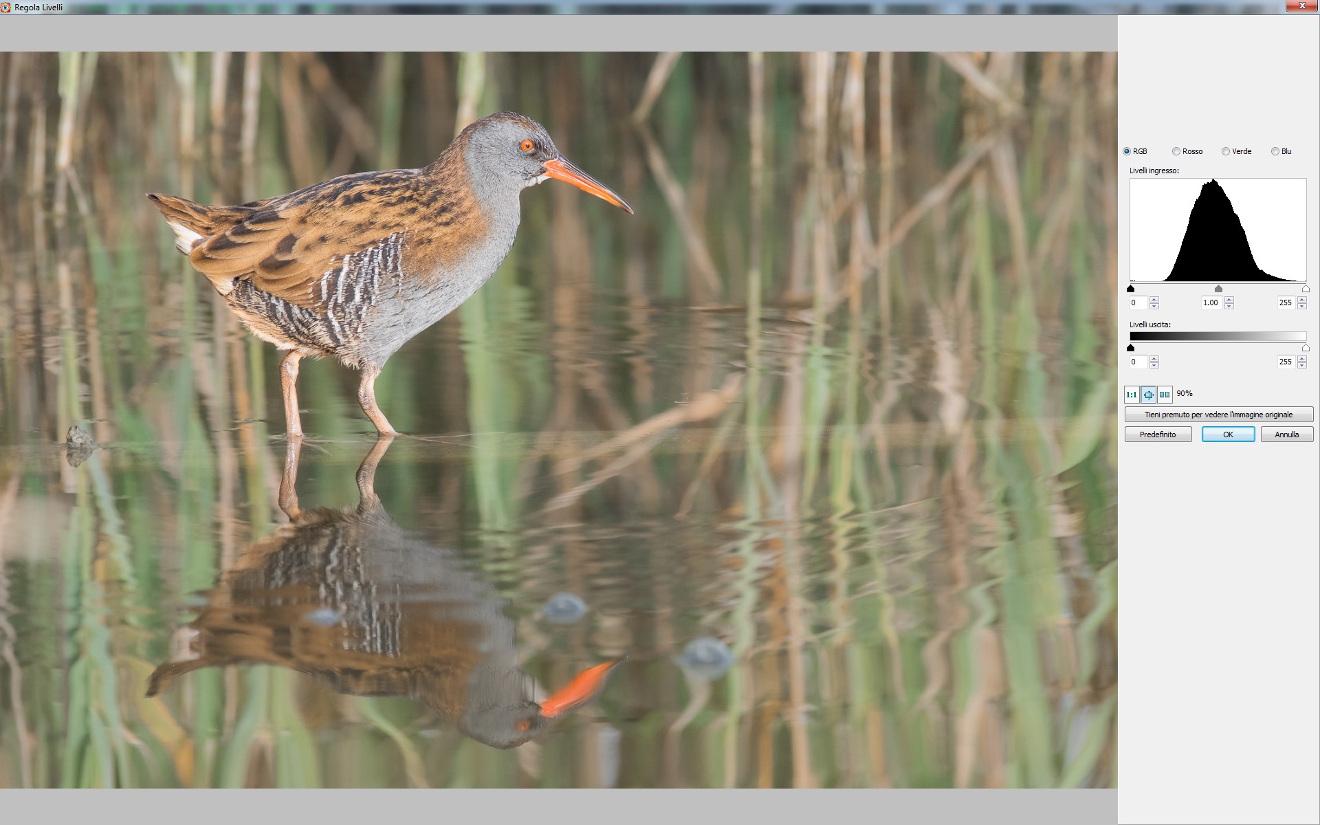 Screenshot 2020-04-28 13.28.03.jpg