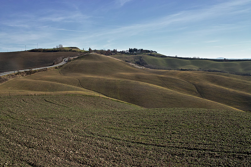 SDIM2159.jpg