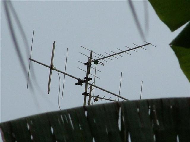 senza (Small).JPG