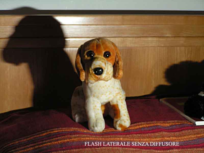 SENZA DIFFUSORE.jpg
