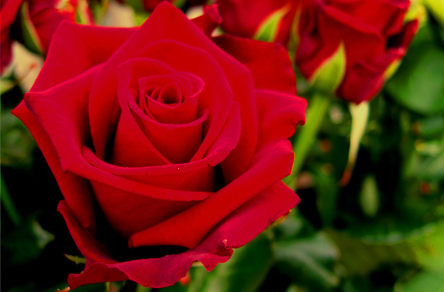 Senza titolo-1_filtered.jpg