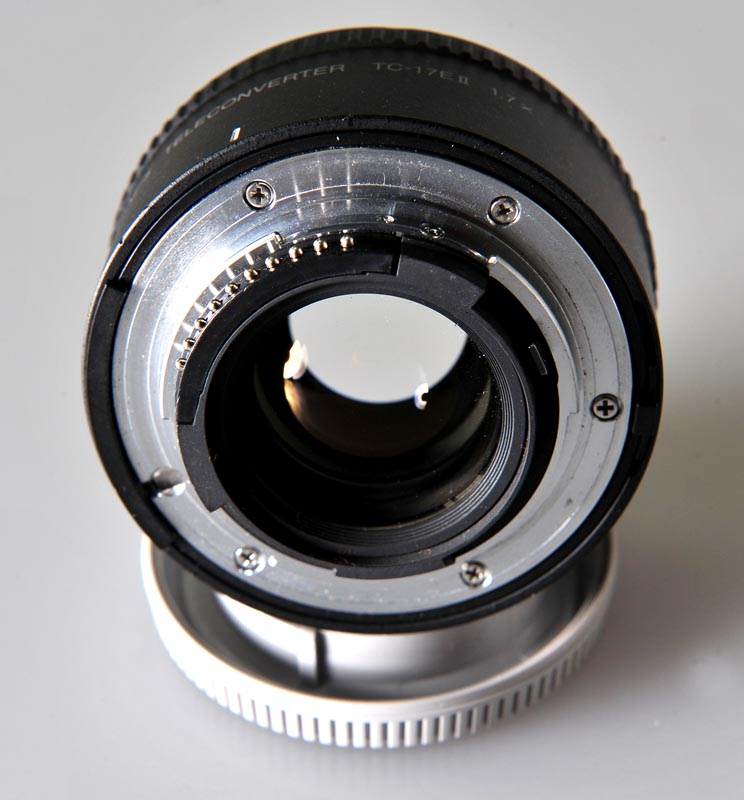 STF_9615.JPG